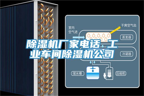 榴莲视频官网APP廠家電話 工業車間榴莲视频官网APP公司