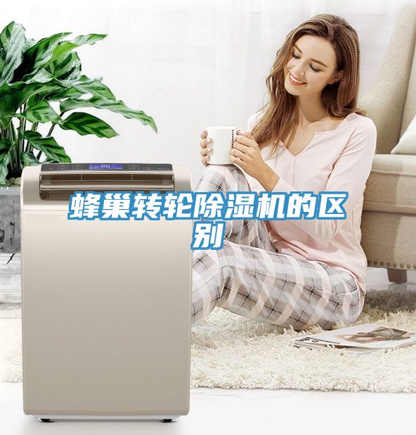 蜂巢轉輪榴莲视频官网APP的區別