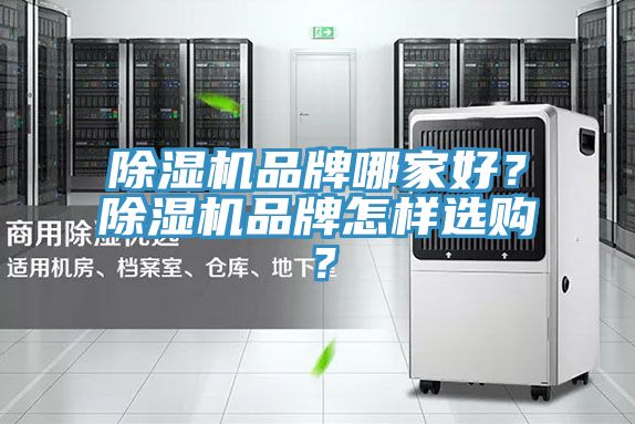 榴莲视频官网APP品牌哪家好？榴莲视频官网APP品牌怎樣選購？