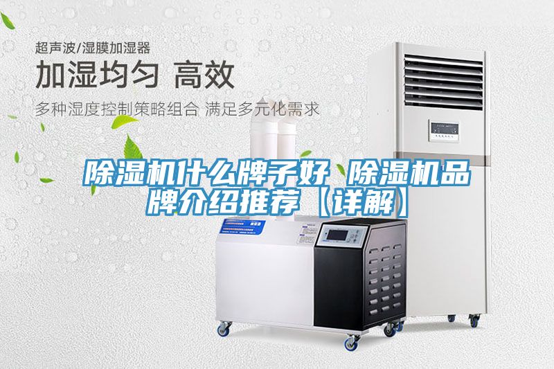 榴莲视频官网APP什麽牌子好 榴莲视频官网APP品牌介紹推薦【詳解】