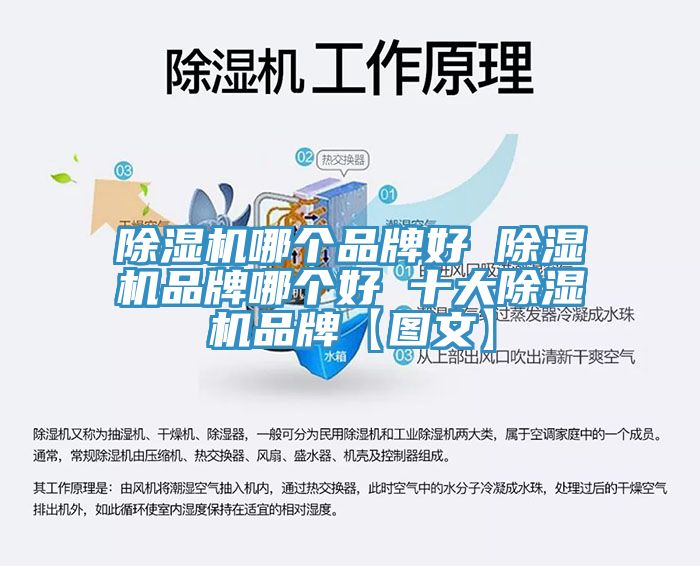 榴莲视频官网APP哪個品牌好 榴莲视频官网APP品牌哪個好 十大榴莲视频官网APP品牌【圖文】