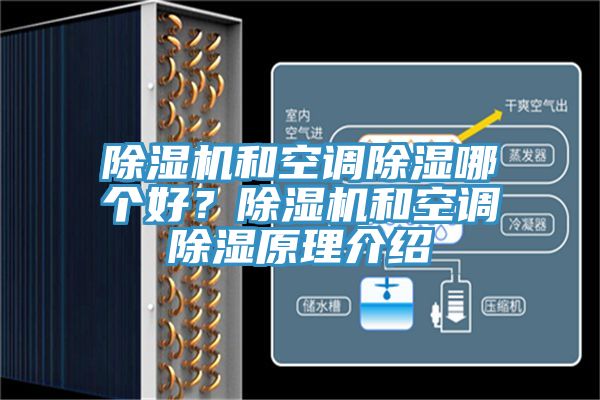 榴莲视频官网APP和空調除濕哪個好？榴莲视频官网APP和空調除濕原理介紹