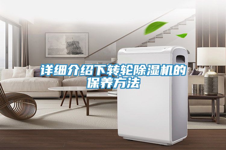 詳細介紹下轉輪榴莲视频官网APP的保養方法