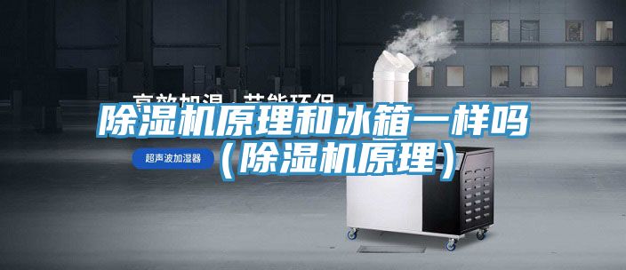 榴莲视频官网APP原理和冰箱一樣嗎（榴莲视频官网APP原理）