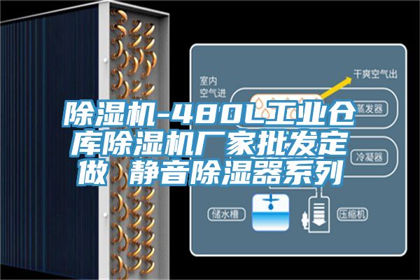 榴莲视频官网APP-480L工業倉庫榴莲视频官网APP廠家批發定做 靜音除濕器係列