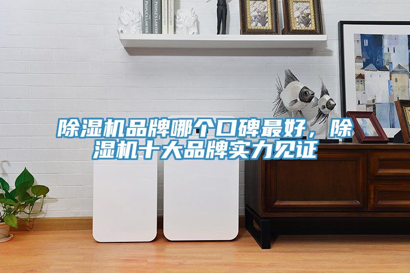 榴莲视频官网APP品牌哪個口碑最好，榴莲视频官网APP十大品牌實力見證