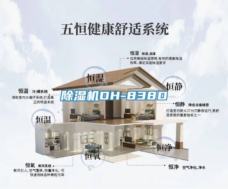 榴莲视频官网APPDH-838D