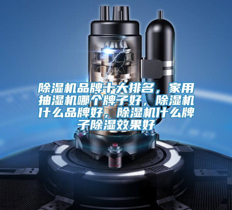榴莲视频官网APP品牌十大排名，家用抽濕機哪個牌子好，榴莲视频官网APP什麽品牌好，榴莲视频官网APP什麽牌子除濕效果好