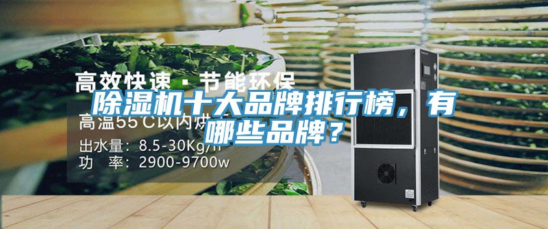 榴莲视频官网APP十大品牌排行榜，有哪些品牌？