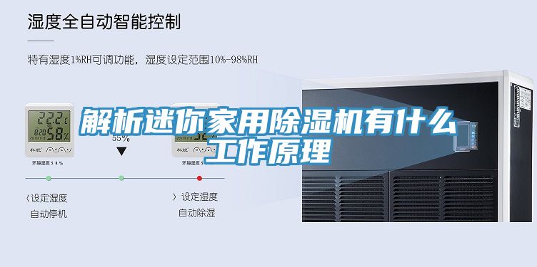 解析迷你家用榴莲视频官网APP有什麽工作原理