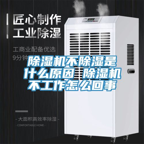 榴莲视频官网APP不除濕是什麽原因 榴莲视频官网APP不工作怎麽回事