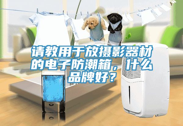 請教用於放攝影器材的電子防潮箱，什麽品牌好？