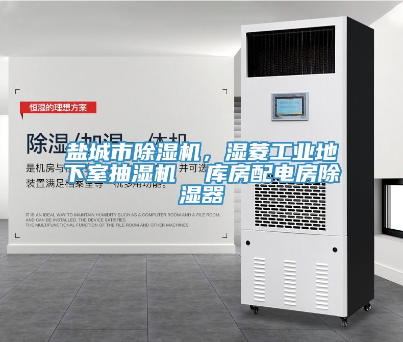 鹽城市榴莲视频官网APP，濕菱工業地下室抽濕機  庫房配電房除濕器