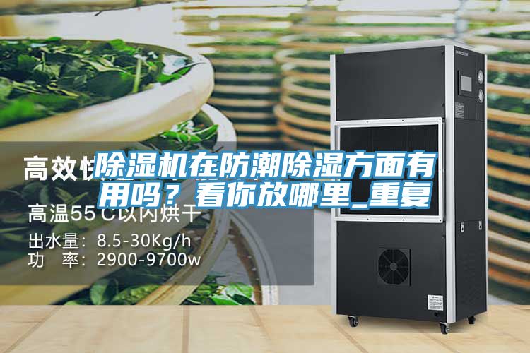 榴莲视频官网APP在防潮除濕方麵有用嗎？看你放哪裏_重複