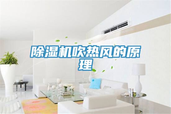 榴莲视频官网APP吹熱風的原理