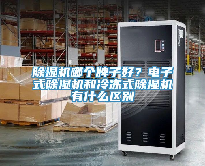 榴莲视频官网APP哪個牌子好？電子式榴莲视频官网APP和冷凍式榴莲视频官网APP有什麽區別