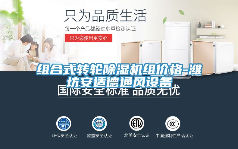 組合式轉輪榴莲视频官网APP組價格-濰坊安適德通風設備