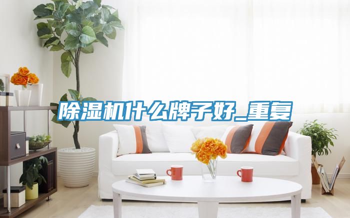 榴莲视频官网APP什麽牌子好_重複