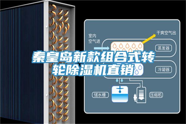 秦皇島新款組合式轉輪榴莲视频官网APP直銷