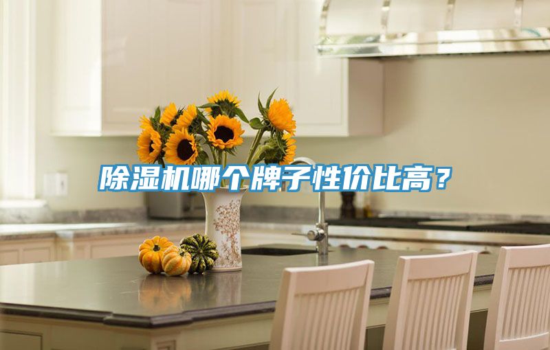 榴莲视频官网APP哪個牌子性價比高？