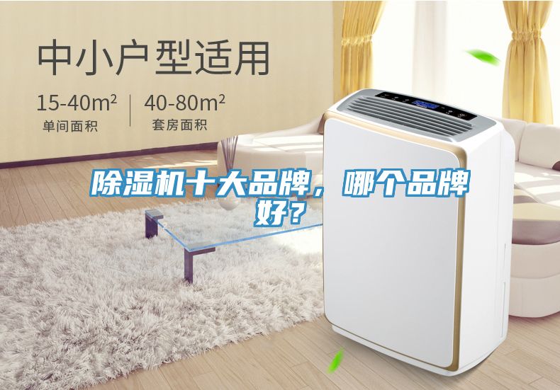 榴莲视频官网APP十大品牌，哪個品牌好？