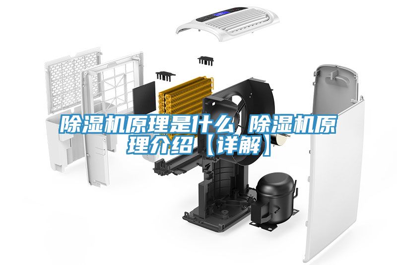 榴莲视频官网APP原理是什麽 榴莲视频官网APP原理介紹【詳解】