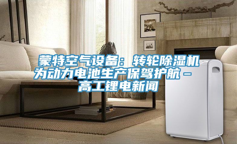 蒙特空氣設備：轉輪榴莲视频官网APP為動力電池生產保駕護航– 高工鋰電新聞
