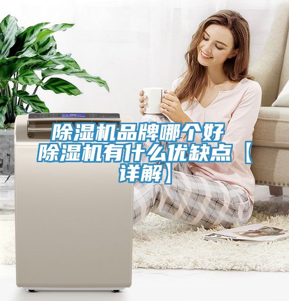 榴莲视频官网APP品牌哪個好 榴莲视频官网APP有什麽優缺點【詳解】