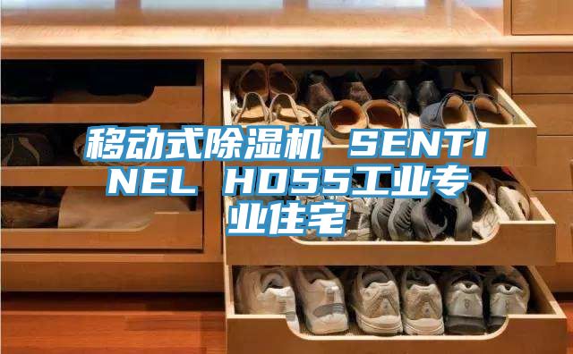 移動式榴莲视频官网APP SENTINEL HD55工業專業住宅