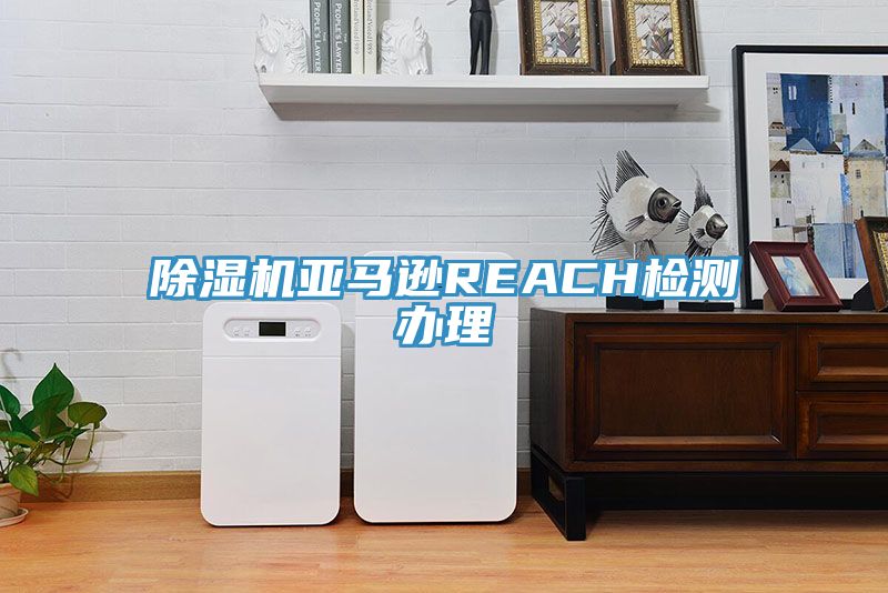 榴莲视频官网APP亞馬遜REACH檢測辦理