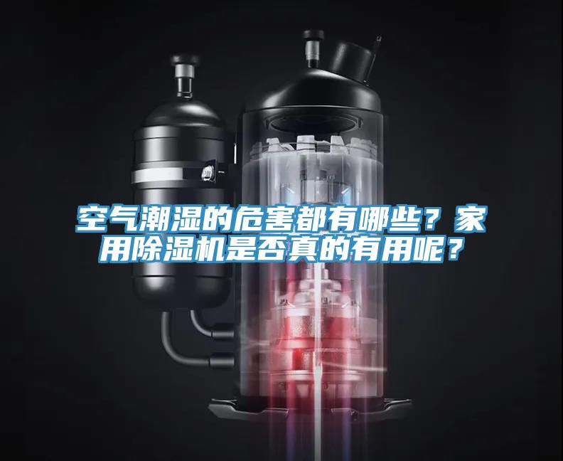 空氣潮濕的危害都有哪些？家用榴莲视频官网APP是否真的有用呢？