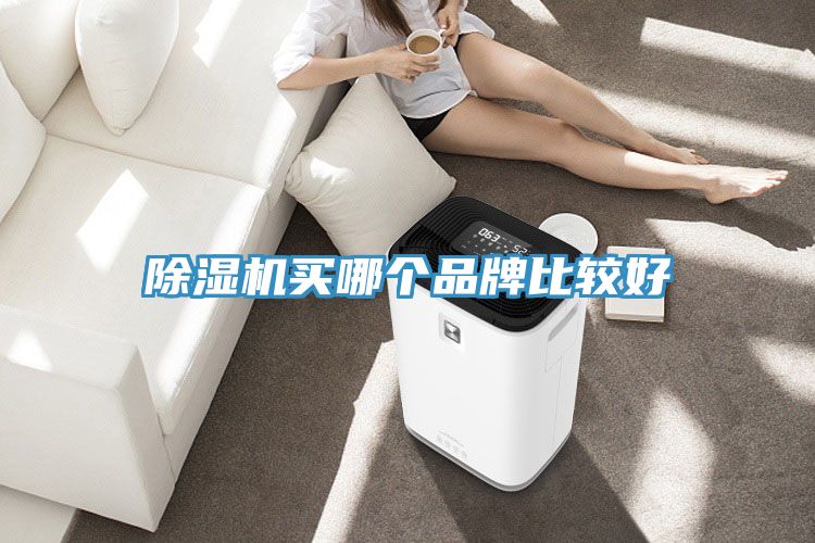 榴莲视频官网APP買哪個品牌比較好