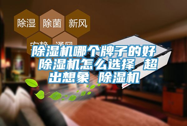 榴莲视频官网APP哪個牌子的好 榴莲视频官网APP怎麽選擇 超出想象 榴莲视频官网APP