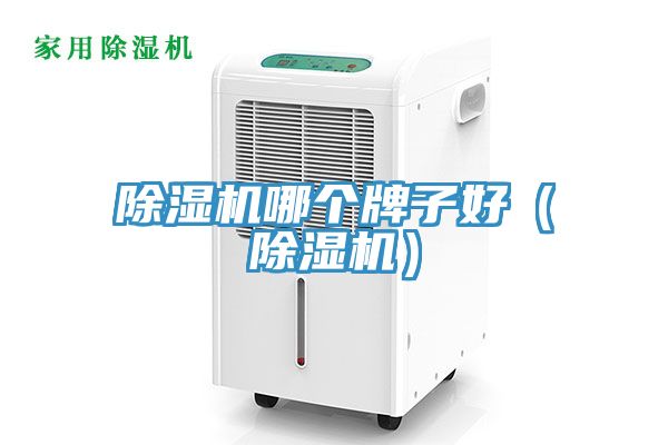 榴莲视频官网APP哪個牌子好（榴莲视频官网APP）