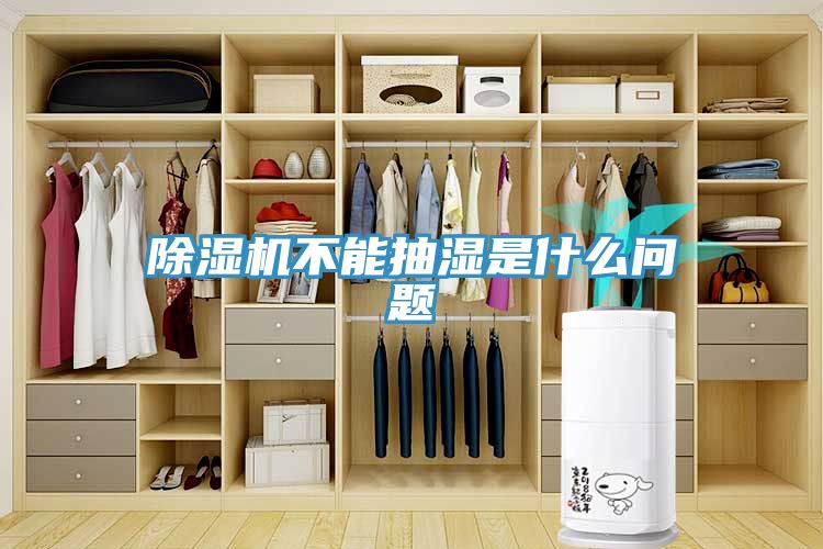 榴莲视频官网APP不能抽濕是什麽問題