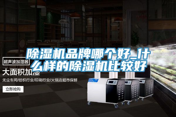 榴莲视频官网APP品牌哪個好_什麽樣的榴莲视频官网APP比較好