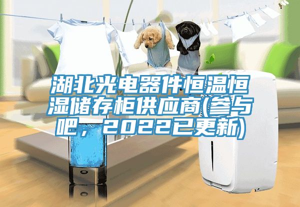 湖北光電器件恒溫恒濕儲存櫃供應商(參與吧，2022已更新)