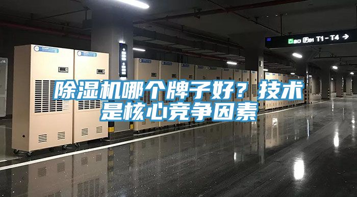 榴莲视频官网APP哪個牌子好？技術是核心競爭因素