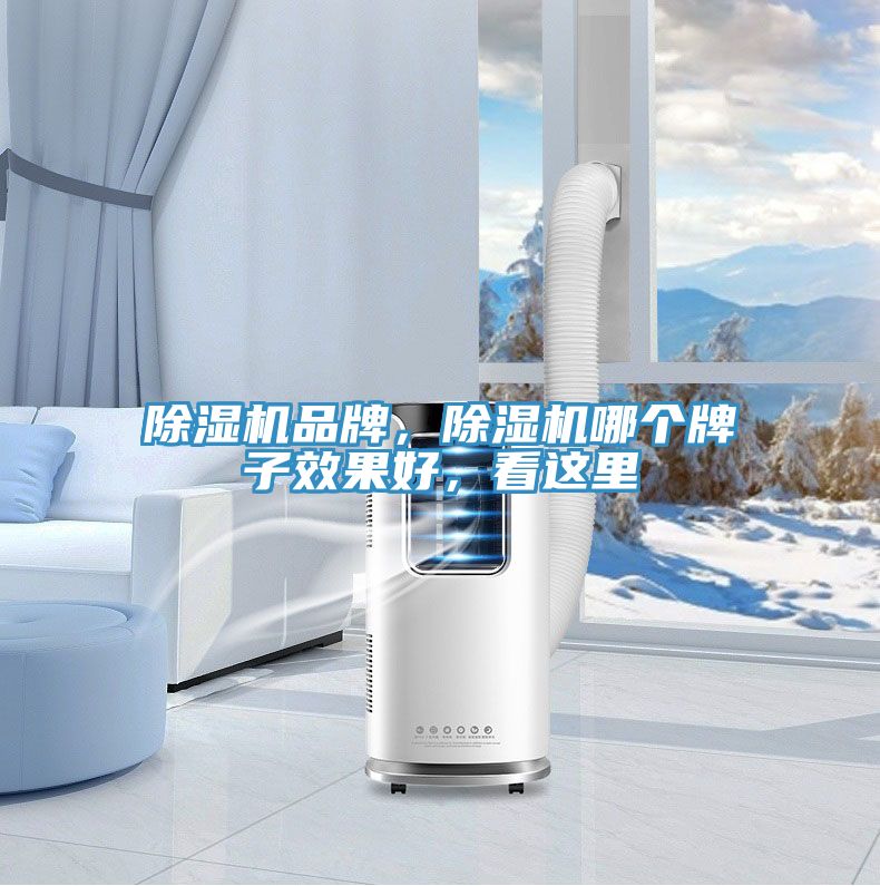 榴莲视频官网APP品牌，榴莲视频官网APP哪個牌子效果好，看這裏