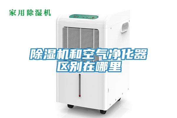 榴莲视频官网APP和空氣淨化器區別在哪裏