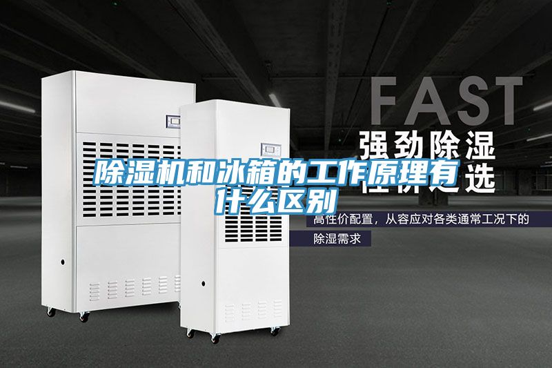 榴莲视频官网APP和冰箱的工作原理有什麽區別