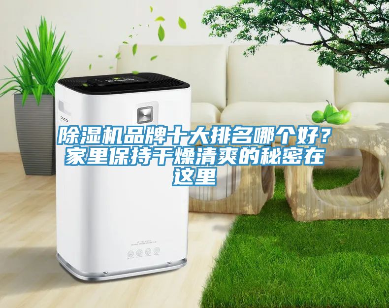 榴莲视频官网APP品牌十大排名哪個好？家裏保持幹燥清爽的秘密在這裏