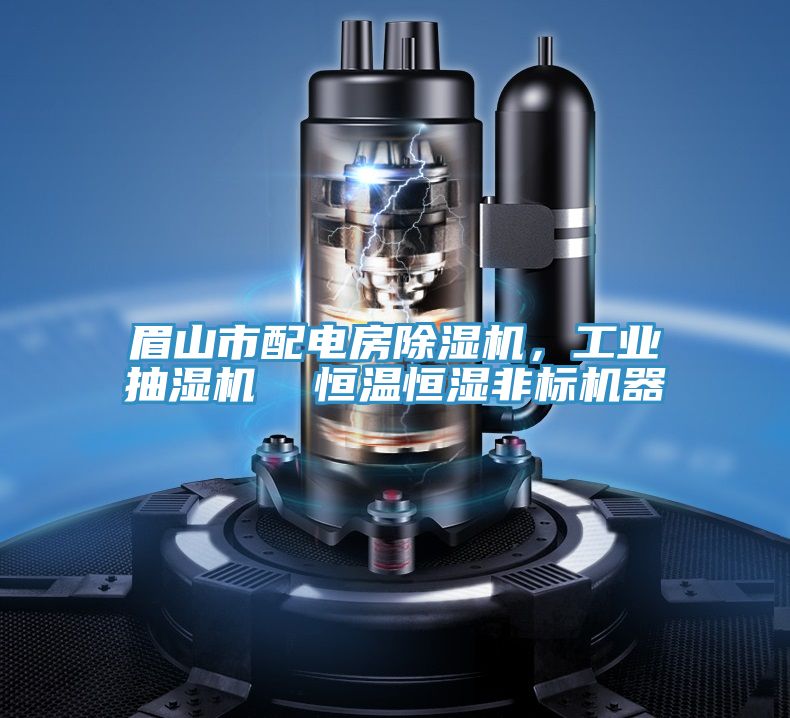 眉山市配電房榴莲视频官网APP，工業抽濕機  恒溫恒濕非標機器