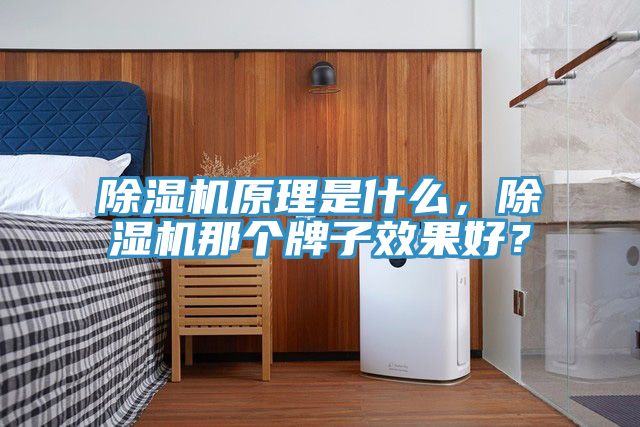 榴莲视频官网APP原理是什麽，榴莲视频官网APP那個牌子效果好？