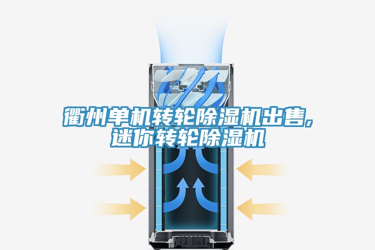 衢州單機轉輪榴莲视频官网APP出售,迷你轉輪榴莲视频官网APP