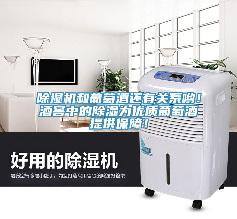 榴莲视频官网APP和葡萄酒還有關係喲！酒窖中的除濕為優質葡萄酒提供保障！