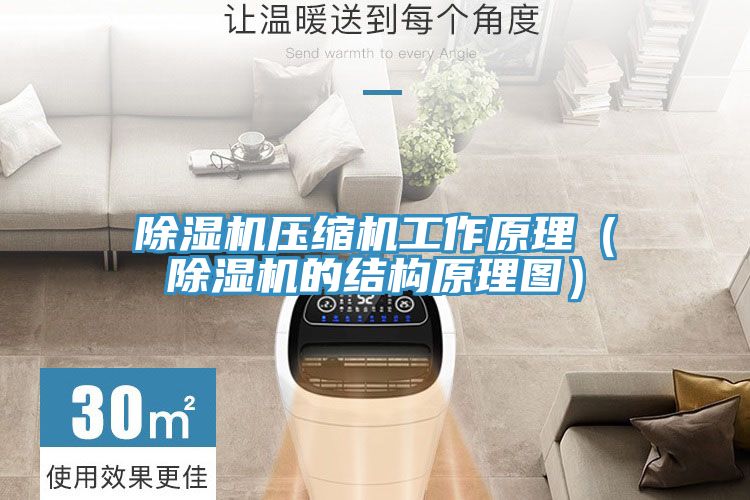 榴莲视频官网APP壓縮機工作原理（榴莲视频官网APP的結構原理圖）