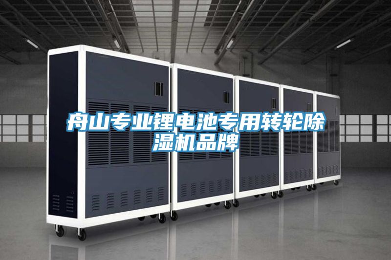 舟山專業鋰電池專用轉輪榴莲视频官网APP品牌