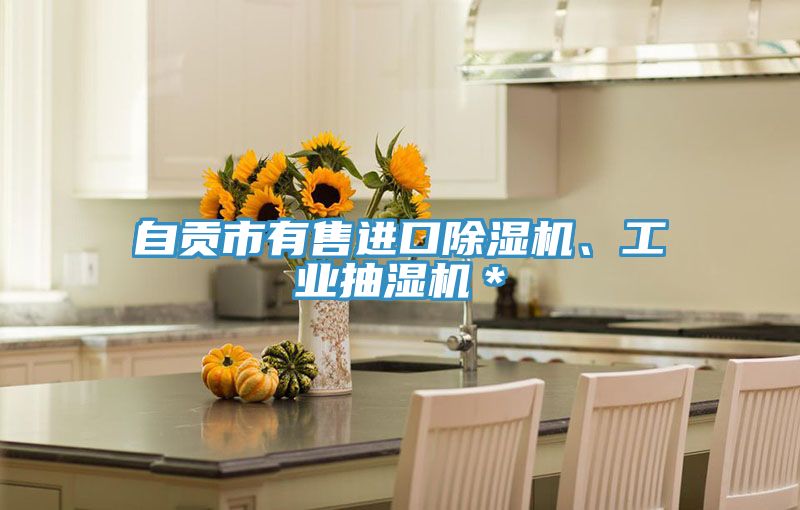 自貢市有售進口榴莲视频官网APP、工業抽濕機＊