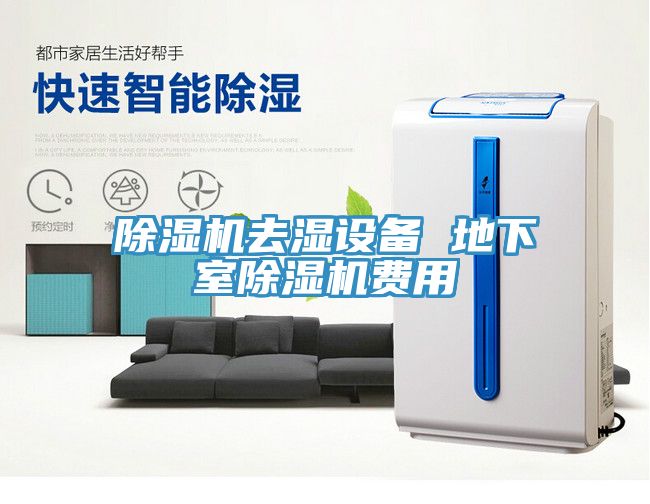 榴莲视频官网APP去濕設備 地下室榴莲视频官网APP費用